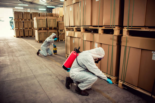  Los Angeles, CA Pest Control Pros