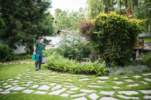 Best Wildlife Control Services  in Los Angeles, CA