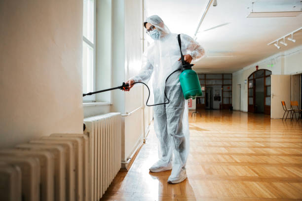 Wildlife Control Services in Los Angeles, CA
